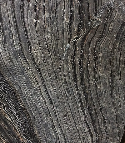 Antico Wood Vein Marble translucent thin stone panel